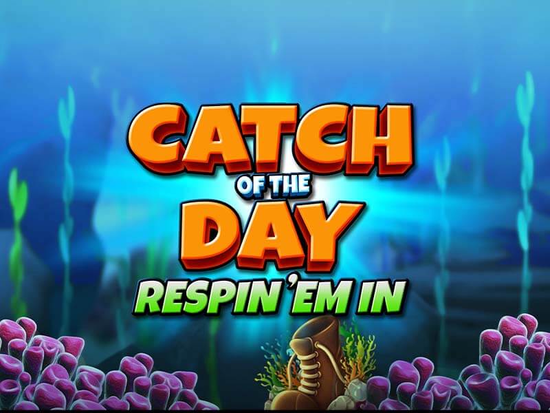 Torneio Catch of the Day Finalizado na Brabet