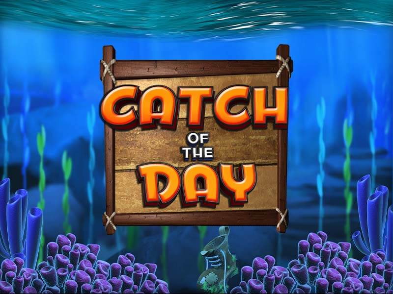 Promoção Catch of the Day no Brabet